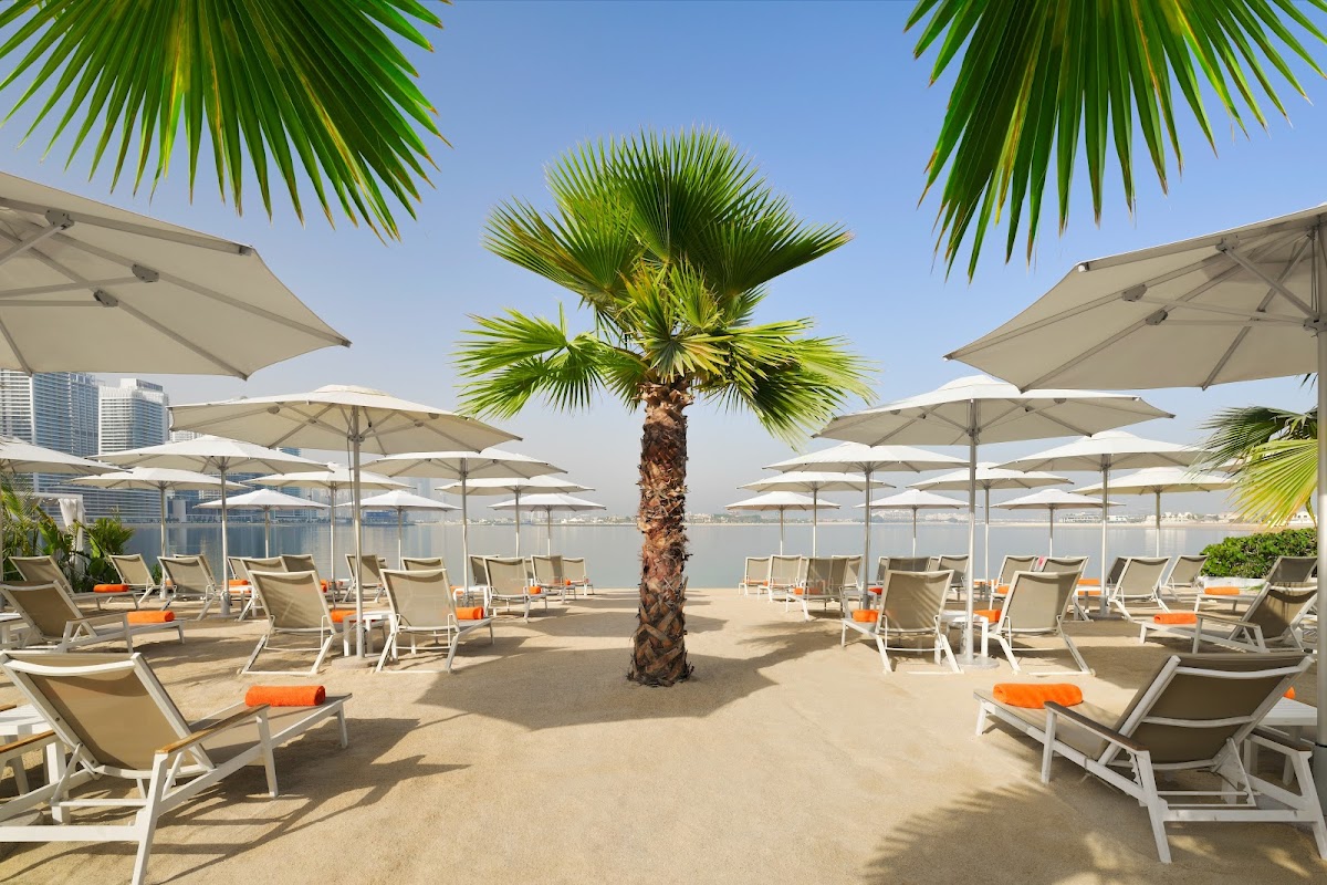 Adagio Premium The Palm